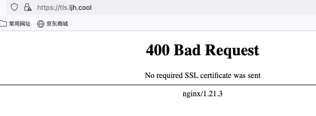 nginx使用自签证书进行双向TLS加密